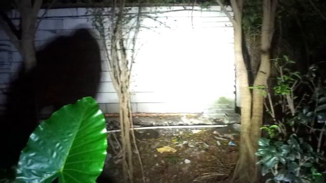 Test BlackShadow 4x Cree XM-L U2 LED 4000 Lumen Flashlight Review(WillBuying.com) смотреть онлайн