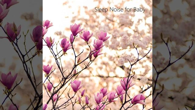 Zen Therapy Help Calm Your Mind смотреть онлайн