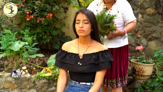 Энергетическое очищение ASMR и массаж limpia с эффектом растрескивания волос от Доньи Розы смотреть онлайн