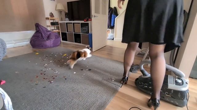 Cleaning Up after Party | Vacuuming | ASMR смотреть онлайн