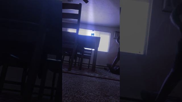 I fuck pup this Nita’s смотреть онлайн