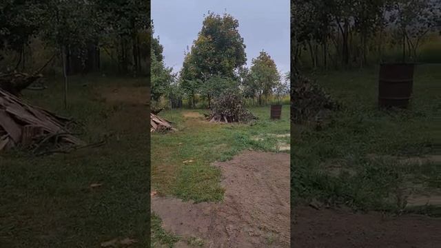 Что мы делаем в деревне.  Жизнь в деревне