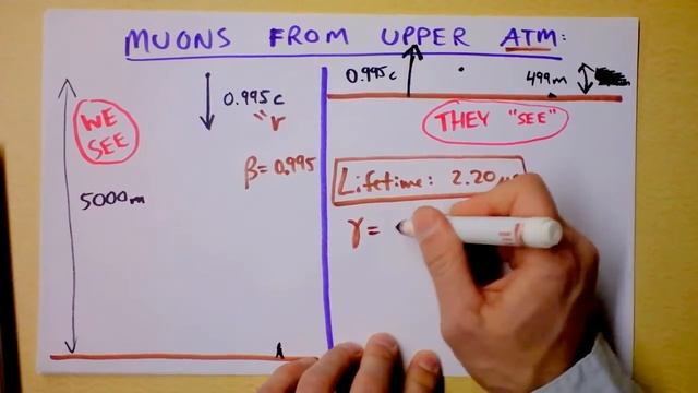 Relativistic Length Contraction Explains why Muons hit the Surface of Earth | Doc Physics смотреть онлайн