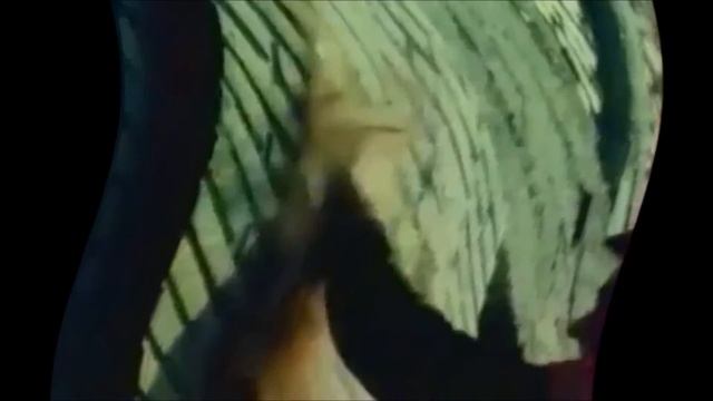 DJ NIAL - L'homme Puma смотреть онлайн
