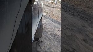 Хонда Фрид полный привод