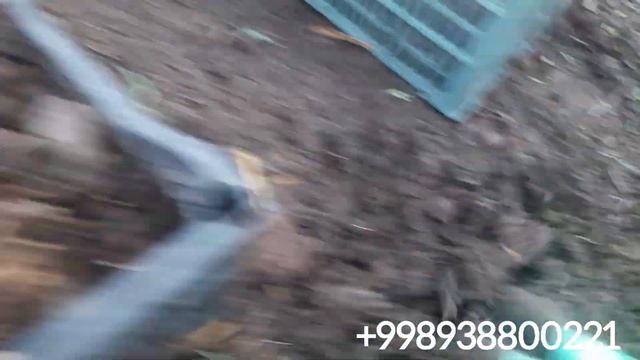 Yozning issiq paytida chuvalchanglar nima bo'ladi biogumus buxoro калифорния чувалчанги биогумус смотреть онлайн