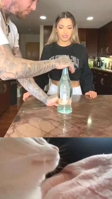 шутка😜 смотреть онлайн