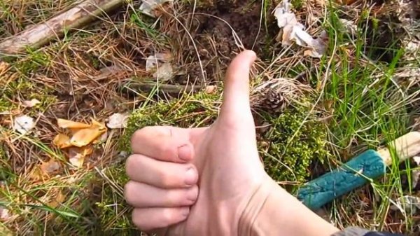 Как сделать вечный террариум как у сливки шоу