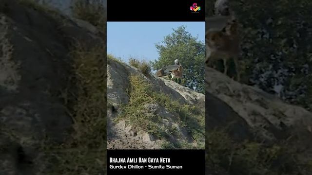 Bhajna Amli | Santi | Nangpune Da Swaad | Goyal Music | Punjabi Comedy #Shorts смотреть онлайн