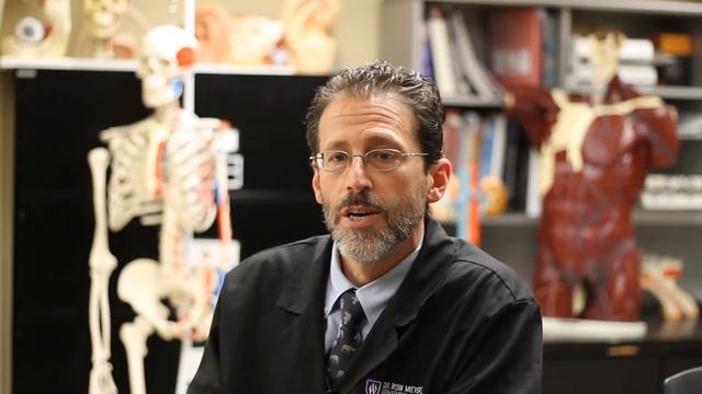 Weber State Anatomy Program смотреть онлайн