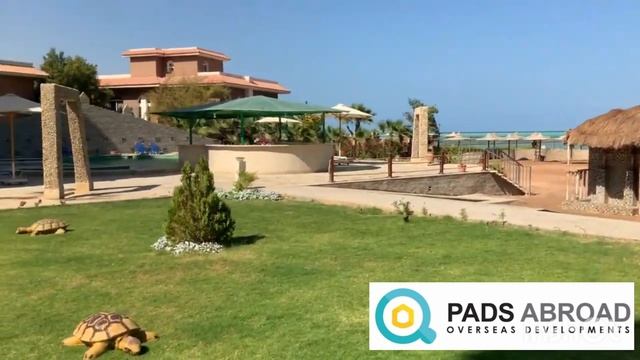 TURTLE BEACH SEA FRONT RESORT HURGHADA EGYPT смотреть онлайн