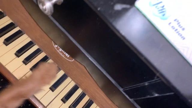 Henry, The Australian Terrier puppy dog plays the piano, Part I смотреть онлайн