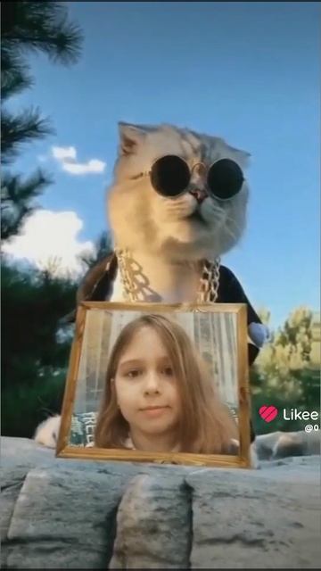 1000006726.mp4 смотреть онлайн