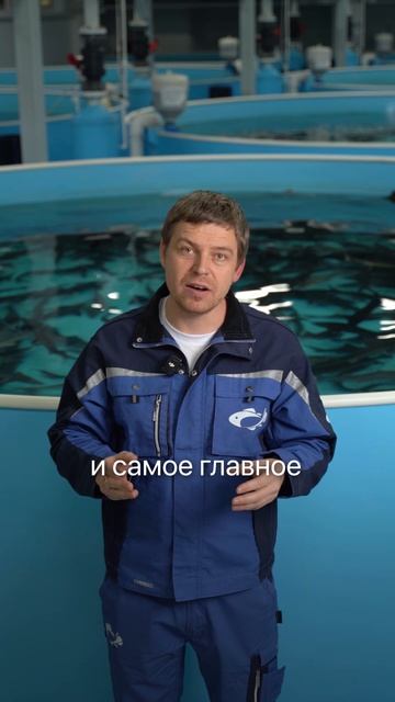 Скрытая угроза дикой рыбы! Что же лучше: фермерская или речная? #рыба #рыбалка #бизнес #бизнесидеи смотреть онлайн