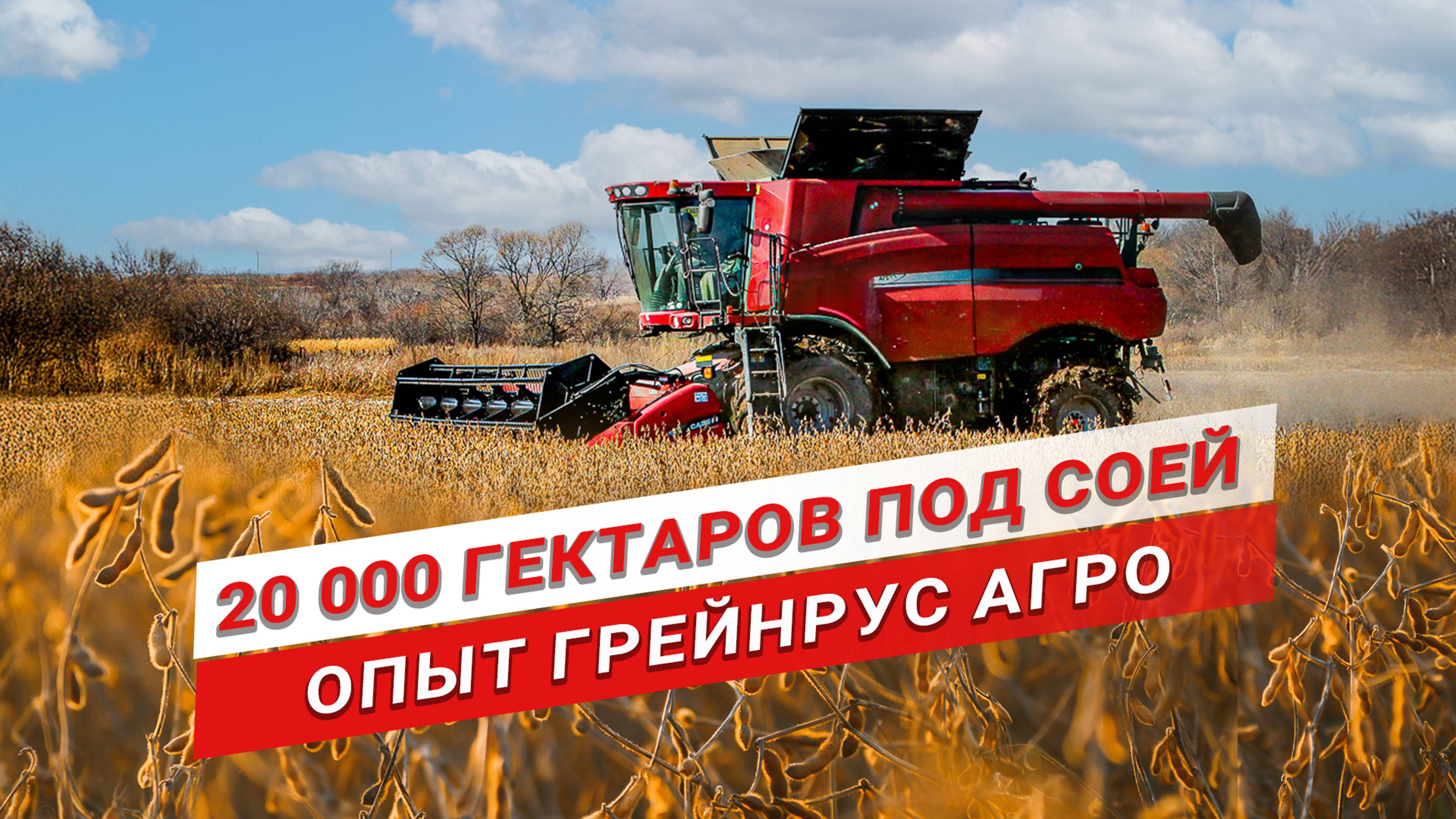 Как заработать на сое? | Опыт выращивания сои | Грейнрус Агро | Главные по сое смотреть онлайн