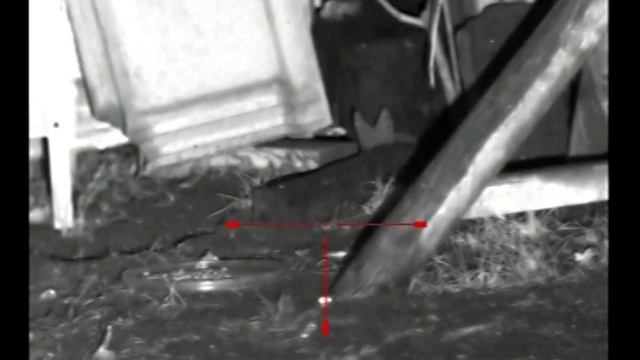Air Arms S410F with Yukon Photon XT - ratting смотреть онлайн