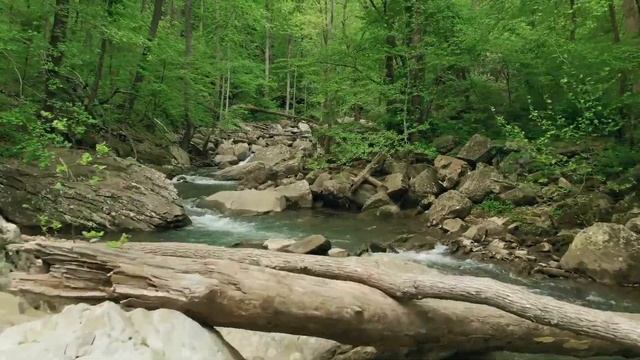 Inner Sound - 10 mins of Soothing Music смотреть онлайн