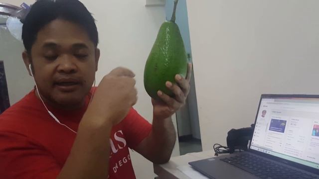 GREAT CHANGE TO THE " PLUANG " AVOCADO/ MỘT SỰ THAY ĐỔI TUYỆT VỜI ĐỐI VỚI CÔNG CHÚA /AVOCADO смотреть онлайн