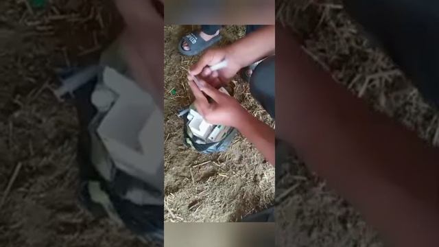 НИТА-ФАРМ билан даволаймиз! смотреть онлайн