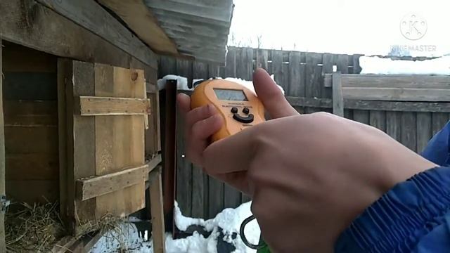 Взвешивание кроликов. смотреть онлайн