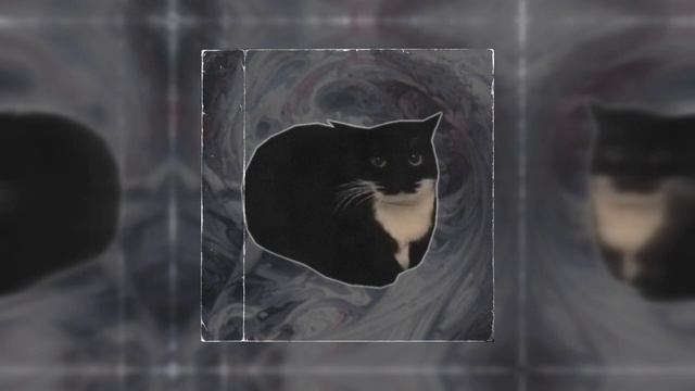 MAXWELL PHONK смотреть онлайн