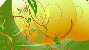 Футаж узор 10 Flourish -  animation