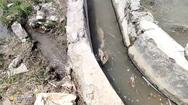 PANASS‼️BERJALAN DI AREAL PERSAWAHAN MELIHAT AKTIFITAS PETANI DARI KEJAUHAN #pedesaan смотреть онлайн