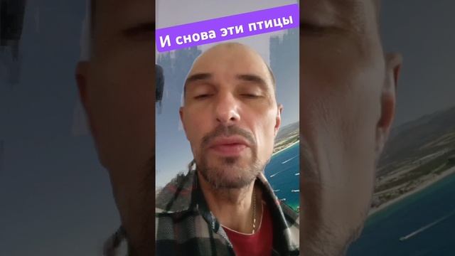 И снова над Запорожьем не добрые птицы. #news #ukraine смотреть онлайн