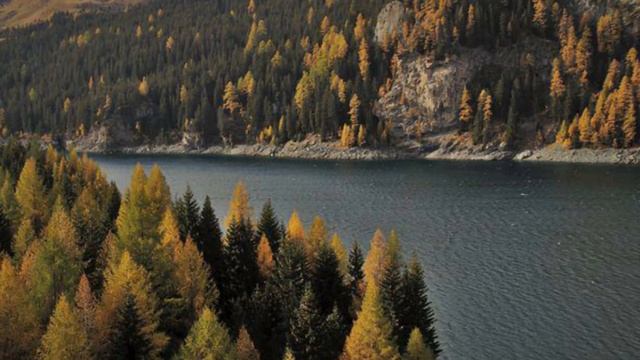 Music for relaxation. Музыка для релакса 🎵 смотреть онлайн