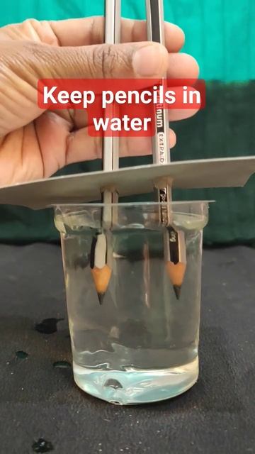 #scienceexperiment #electrolysis of nacl water#sciencefeed#ytstutors смотреть онлайн