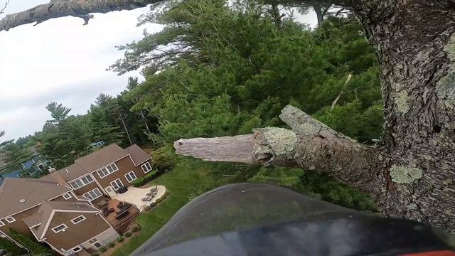CLIMBING A STONE DEAD TREE WITH A STONE AGE SAW! (Homelite XL-12!) смотреть онлайн