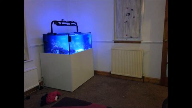 90L Marine tank upgrade to 340L смотреть онлайн