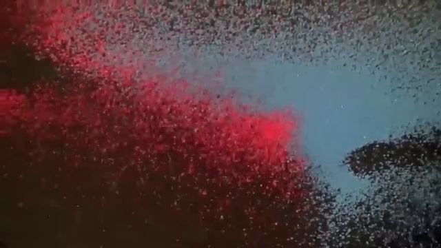 Киматика Кеничи Канадзавы.mp4 смотреть онлайн