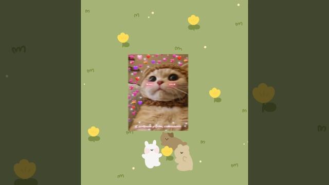 парные эстетичные картинки смотреть онлайн