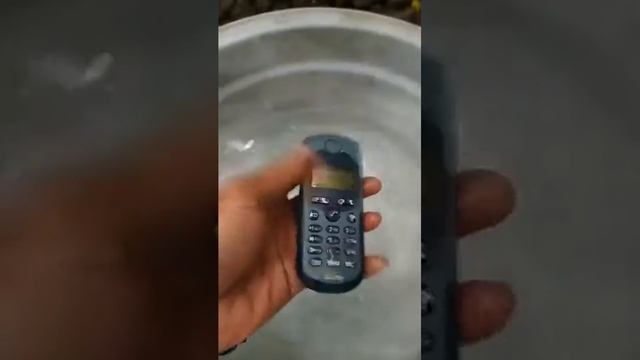 Siemens m35 outdoor ( Djadul menolak punah ) смотреть онлайн