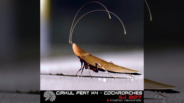 Cirkul: Cockroaches (Original Mix) смотреть онлайн