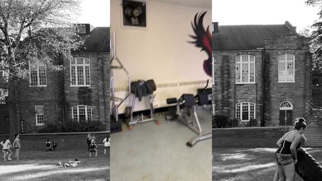 Paris Hall Erg Room смотреть онлайн