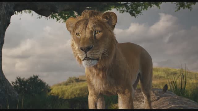Муфаса: Король Лев — Финальный трейлер (Дубляж, 2024) смотреть онлайн