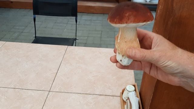 Странный боровик! смотреть онлайн