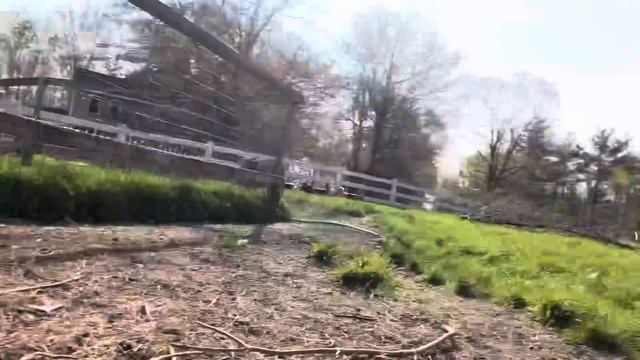 32 baby goat morning stampede смотреть онлайн