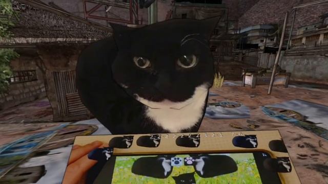 Maxwell The Cat 360° VR / MAXWELL piano APP смотреть онлайн