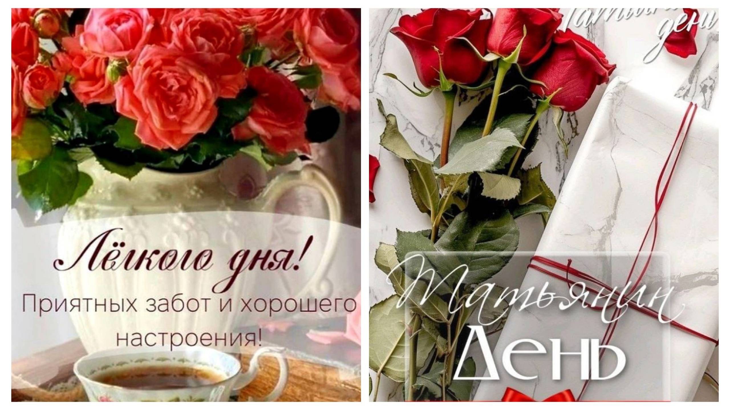 Поменьше слов побольше дела.Не до съёмок. смотреть онлайн