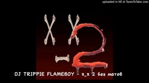 DJ TRIPPIE FLAMEBOY - x_x 2 БЕЗ МАТОВ