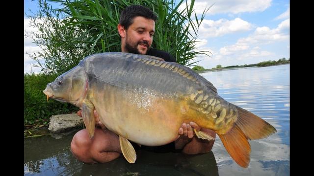 carp tour max carp 2016 смотреть онлайн