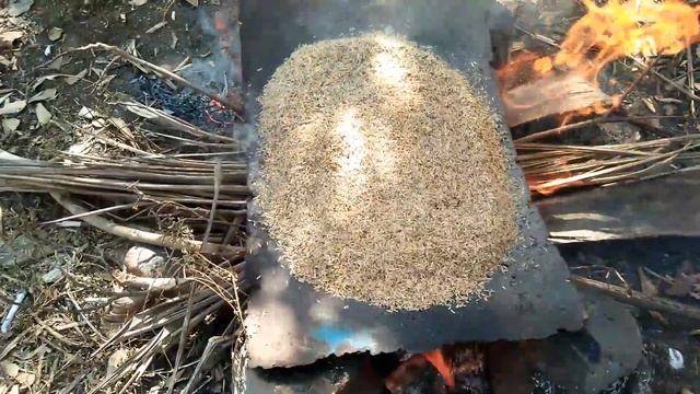 Cara Membuat Arang Sekam Kualitas Super смотреть онлайн