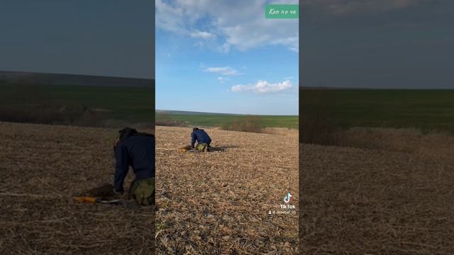 Коп! з Квазар АРМ К2019! Пушук черняхівського поселення смотреть онлайн