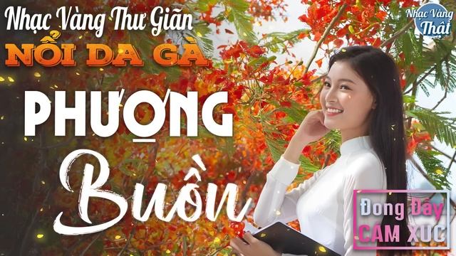 24 - 03 PHƯỢNG BUỒN - Nhạc Vàng Xưa CHỌN LỌC RU NGỦ VỀ ĐÊM ☘️ TRỮ TÌNH THƯ GIÃN ĐONG ĐẦY CẢM XÚC смотреть онлайн