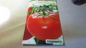 Обзор томата «Джина» (Садовит): Идеальный сорт для открытого грунта?