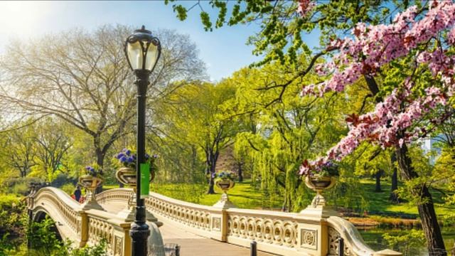 GOOD MORNING MUSIC– Positiv feelings and Energy -Ambient Music For Stress Relief, Meditation, Yoga смотреть онлайн