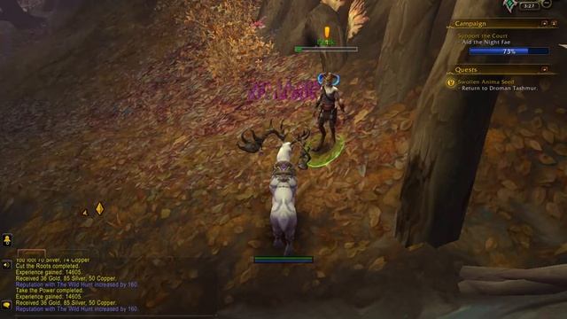 World of Warcraft. Quests - Support the Court смотреть онлайн